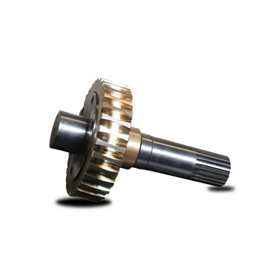 Engrenagem reversa do círculo