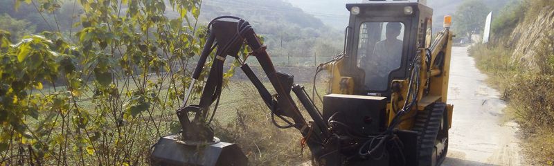 Minicarregadeira TS100